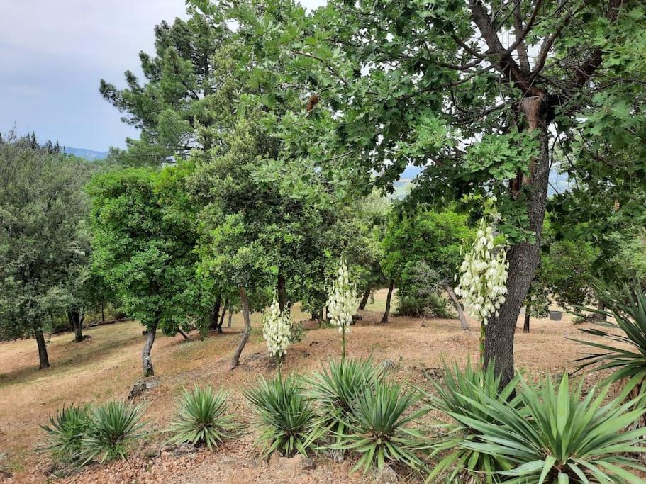Villa Tutti I Colori Del Chianti Linari Eksteriør bilde