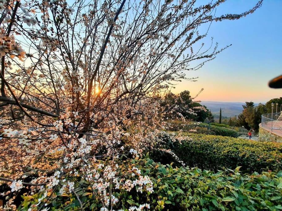 Villa Tutti I Colori Del Chianti Linari Eksteriør bilde