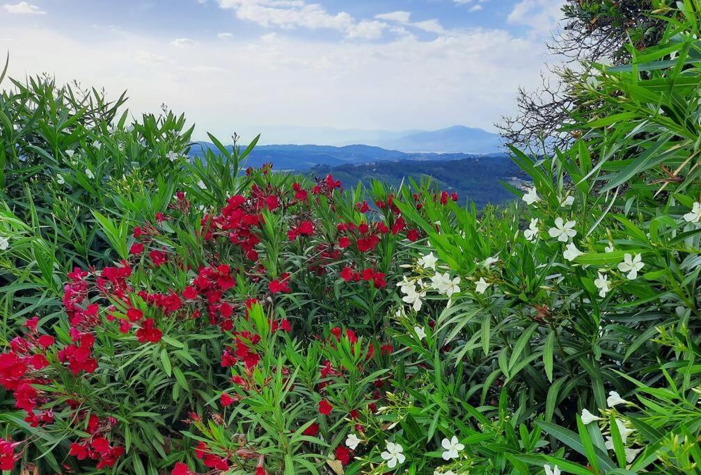Villa Tutti I Colori Del Chianti Linari Eksteriør bilde